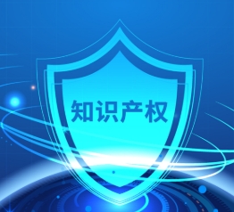 完善跨区域跨部门协同机制 呼和浩特构建知识产权全链条保护网络