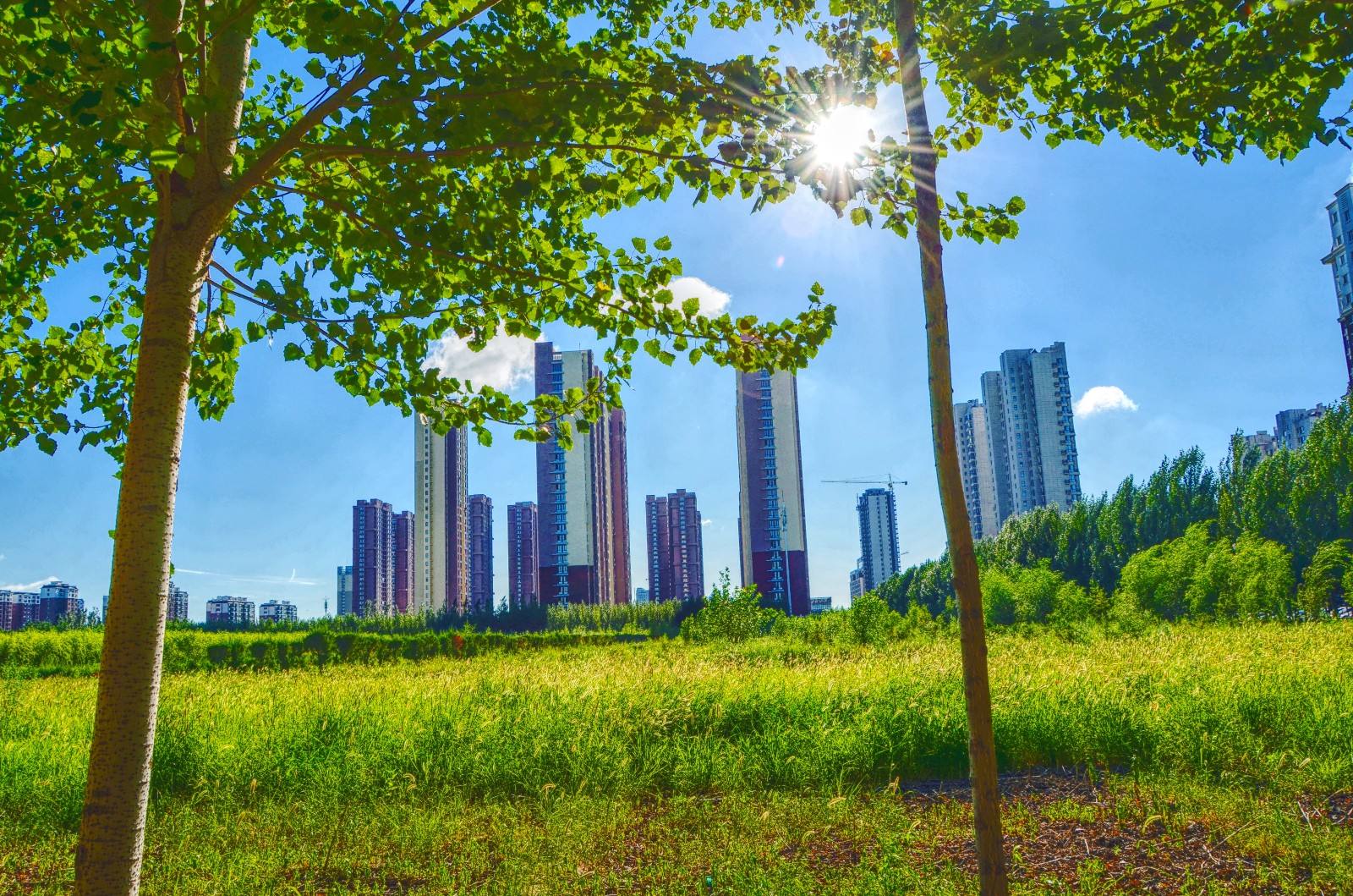 阳光人寿通辽中支速赔15.5万元暖人心