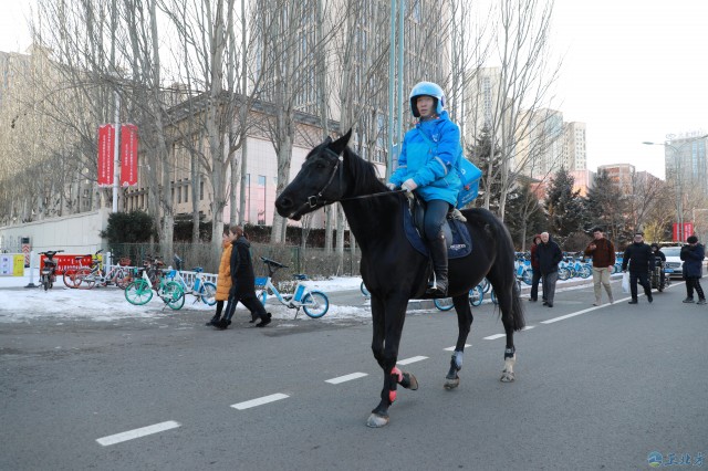 小哥哥骑马送餐 外卖真的“马”上到
