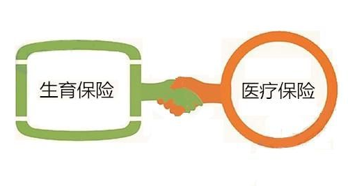 “两险”合并带来啥变化？权威解读来了！