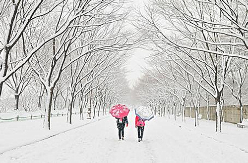 内蒙古大范围降雪寒潮要来了