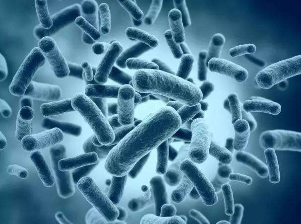 2月份内蒙古报告法定传染病2813例