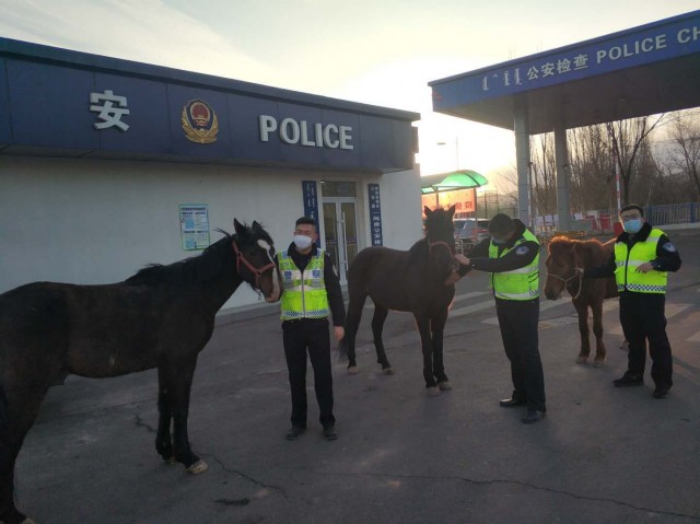 呼和浩特交警变骑警？真相是这样的……
