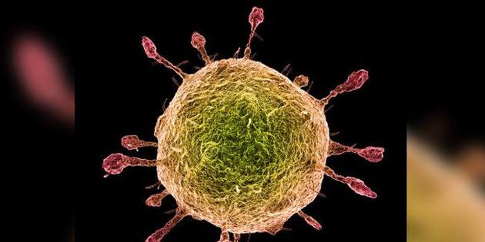 内蒙古无新增境外输入确诊病例 新增治愈出院病例8例