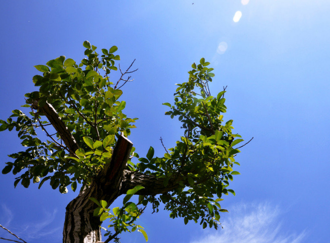 内蒙古未来三天气温急速回升