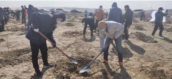 守护亮丽北疆，兴业青年在行动 ---兴业银行鄂尔多斯分行开展义务植树活动