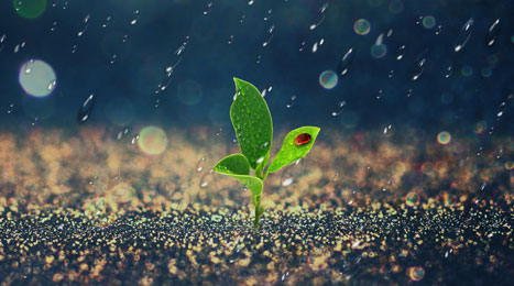 5日起内蒙古迎来降水天气