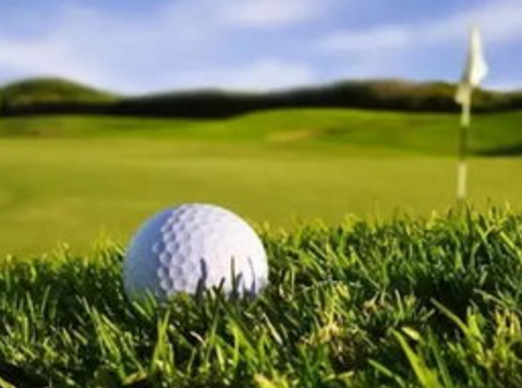 美国高尔夫公开赛资格赛取消