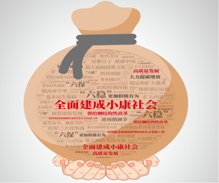 特殊之年政府怎么花钱？2020“国家账本”来了