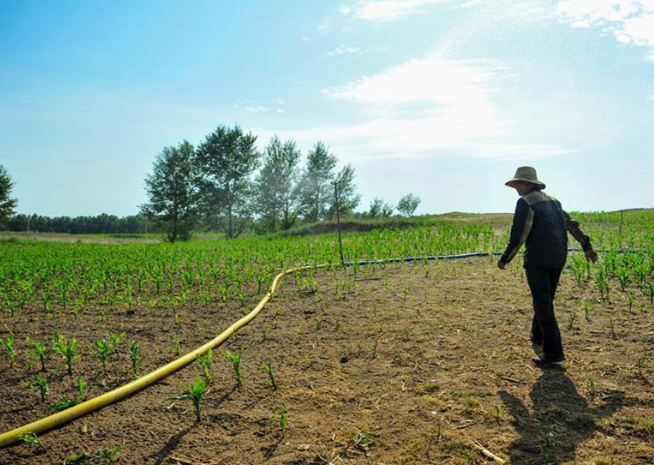 内蒙古西部偏北及东部地区高温旱情持续