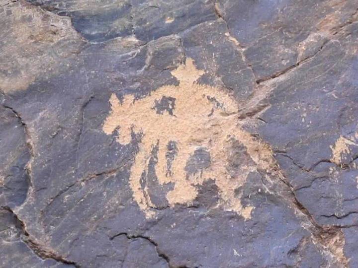 内蒙古新发现一处古代游牧民族岩画群