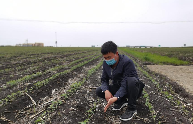 习近平总书记关切事丨让百姓吃得饱还要吃得好——夯实粮食安全基础端牢中国饭碗