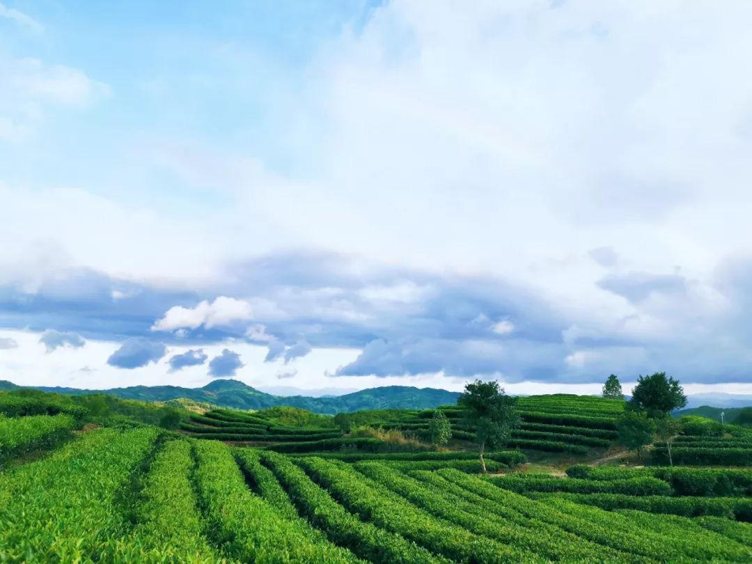 兴业银行：开源拓渠引活水 浇开脱贫幸福花  