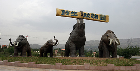 大青山野生动物园采取门票减免措施