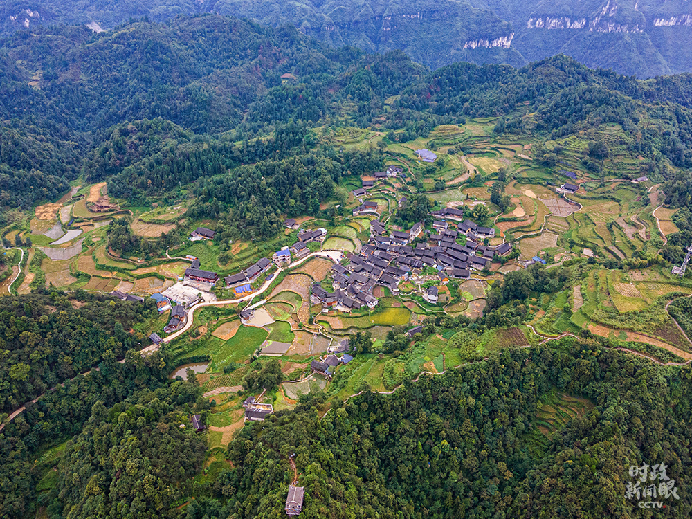从三个关键词，读懂这场不一般的基层代表座谈会