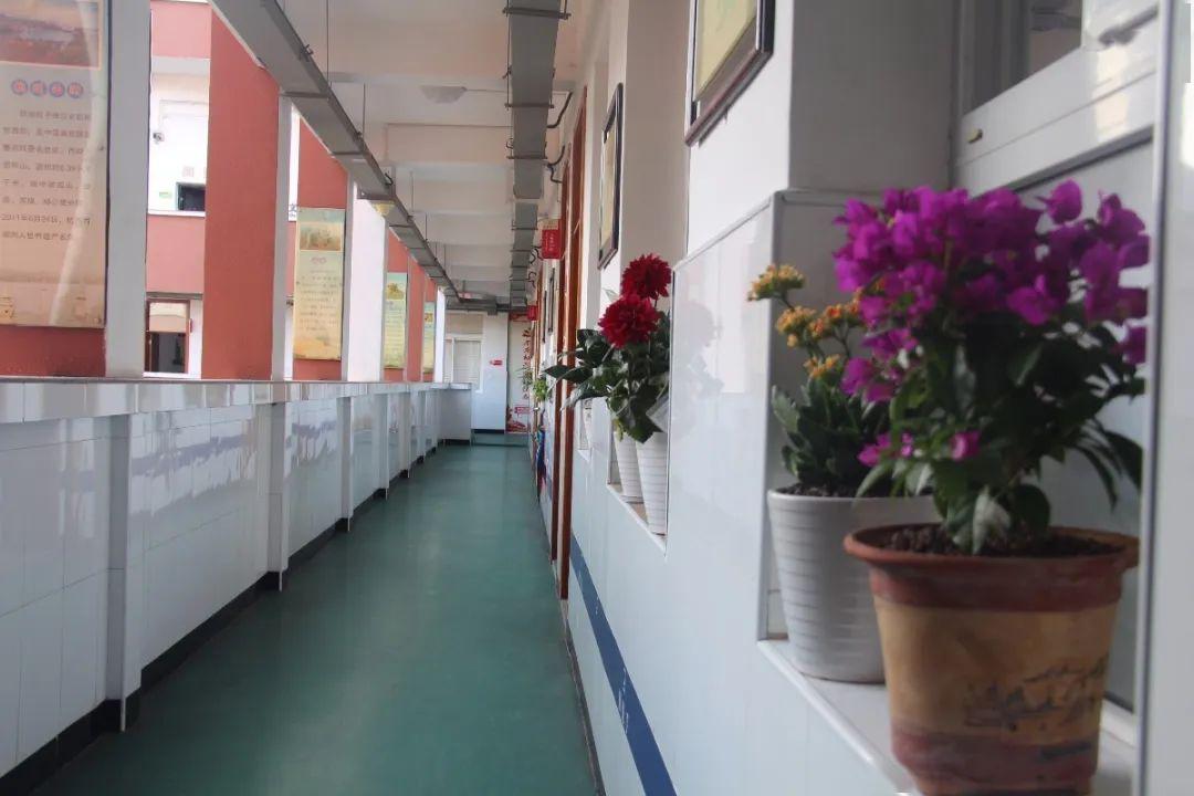 北垣小学北校区启动施工招标 计划投资1.3亿