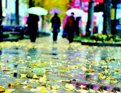 风雪降温齐上线 局地气温下降4~6℃