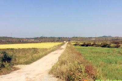 内蒙古：全区已确权耕地9700万亩