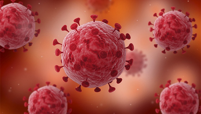 天津第138例本土新冠病毒与北美流行毒株高度近似