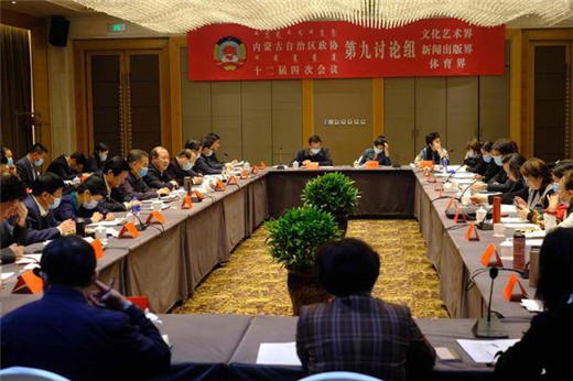 自治区政协文化文史和学习委员会全体委员会会议举行