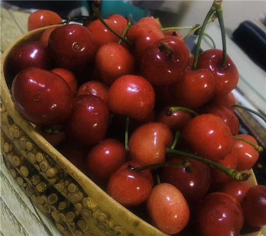 发展内蒙古富碳农业，促进率先实现碳达峰碳中和