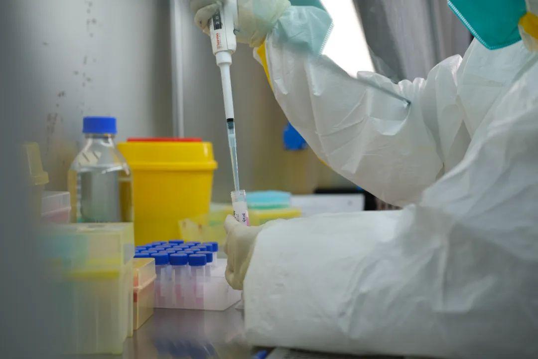 2月3日起内蒙古新冠病毒核酸检测价格下调为80元/次