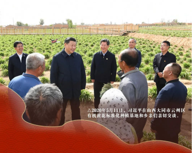 总书记带来幸福年丨产业旺了