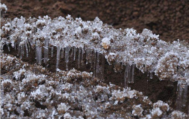 气温同比较高 呼和浩特冻土开始解冻