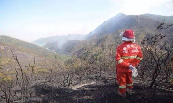 呼和浩特对森林草原重点区域实行封山戒严防火