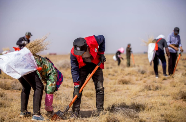 小积分大作为  兴业银行信用卡积分为腾格里沙漠添绿120亩