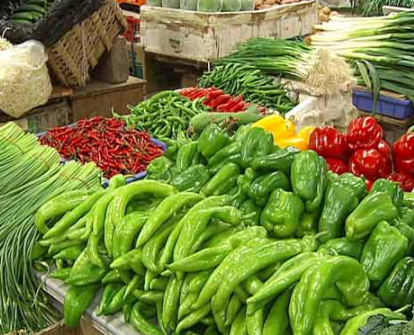 菜价继续下行 呼和浩特生活必需品市场降多涨少