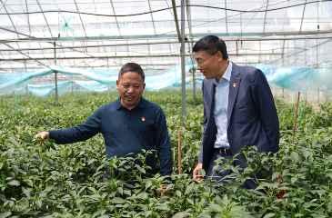 平安产险内蒙古|平安产险在长征起点江西于都开展“乡风文明100行动”   