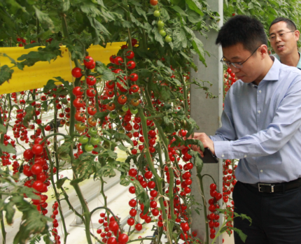  “鲜”人一步优化供应链 苏宁家乐福签约寿光蔬菜直采基地