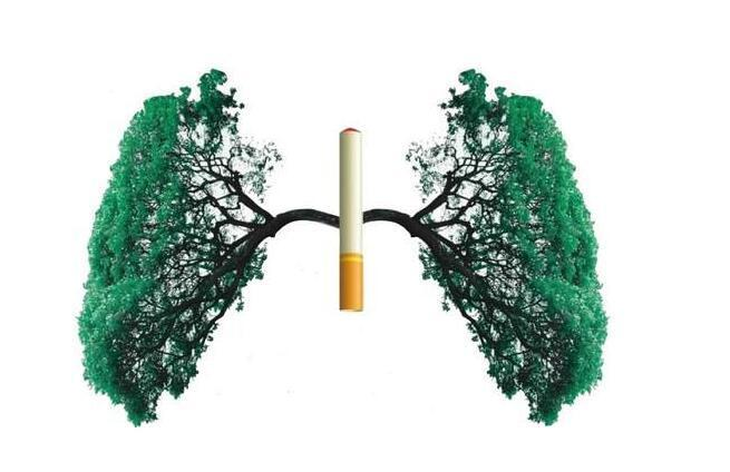 内蒙古开展第34个世界无烟日控烟宣传活动