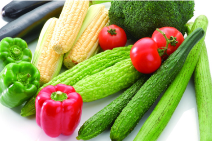 蒙沪文旅及绿色农畜产品合作推广活动启动 罗志虎致辞并见证签约