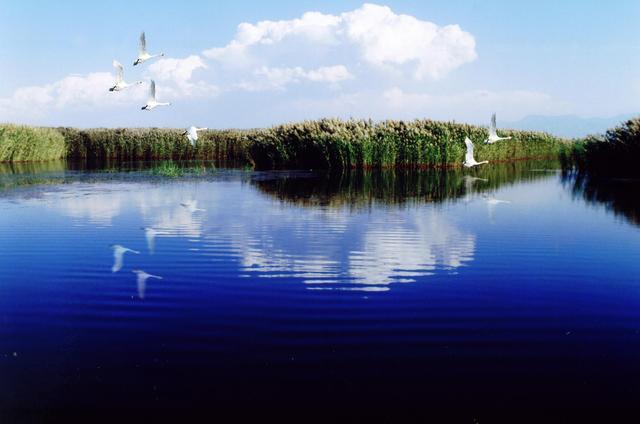 内蒙古乌梁素海水质总体好转 局部区域优于Ⅴ类