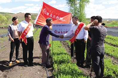 同心聚力 奋斗前行 用金融力量点亮百姓小康梦