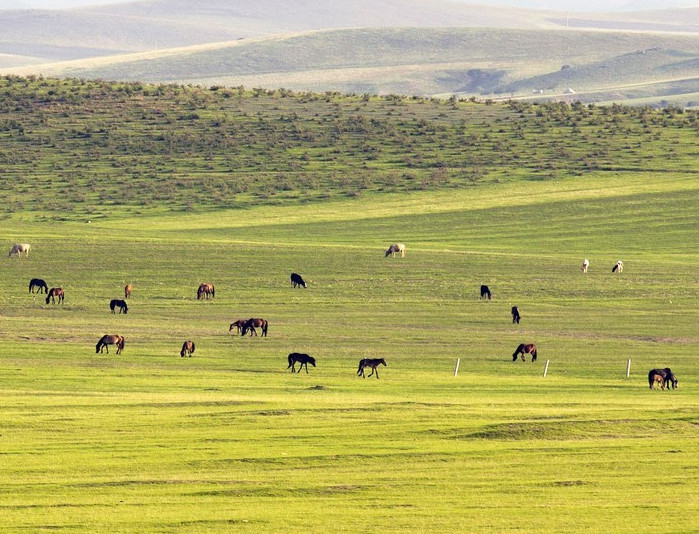 内蒙古将一半国土列入生态保护红线范围