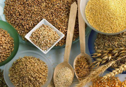 第一轮全区优质粮食工程助农增收15.31亿元