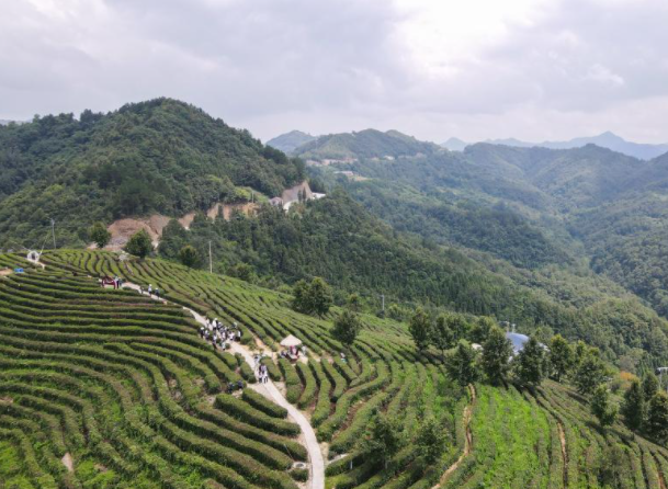 习近平生态文明思想基层生动实践新观察