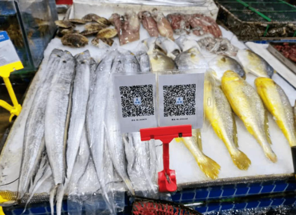 呼和浩特：进口冷链食品不落实提前24小时报备义务的将从严从快从重查处