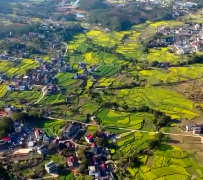 习近平总书记今年以来治国理政纪实