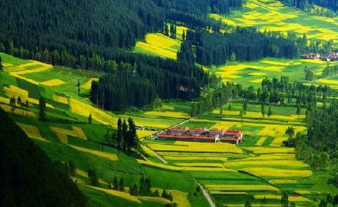 绿色绘出幸福底色——习近平总书记关切的生态文明建设新实践