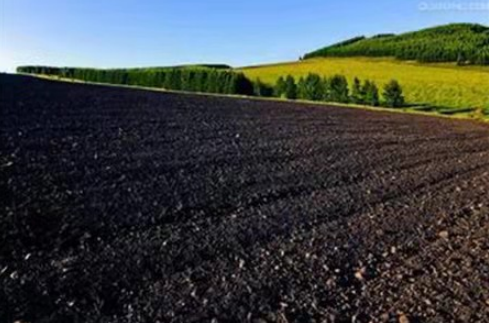 “变废为宝”助推内蒙古富碳农业