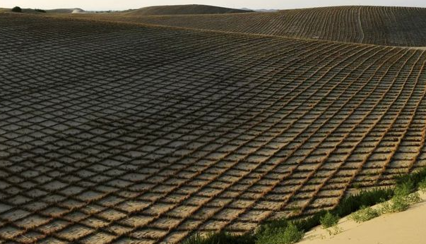 到2025年，内蒙古将完成沙化土地治理2650万亩