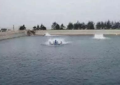 内蒙古开展首次水产养殖种质资源普查