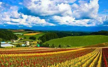 内蒙古两地入选首批全国休闲农业重点县