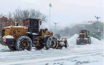 通辽市积极开展受雪灾影响困难群众救助帮扶工作