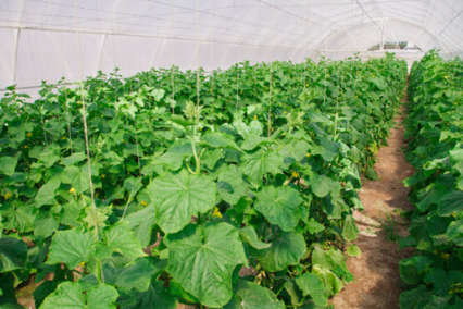 就碳达峰碳中相关问题采访农牧厅副厅长赵永华和李志根