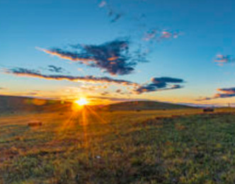 内蒙古2镇1村成为2021年全国乡村特色产业十亿元镇亿元村